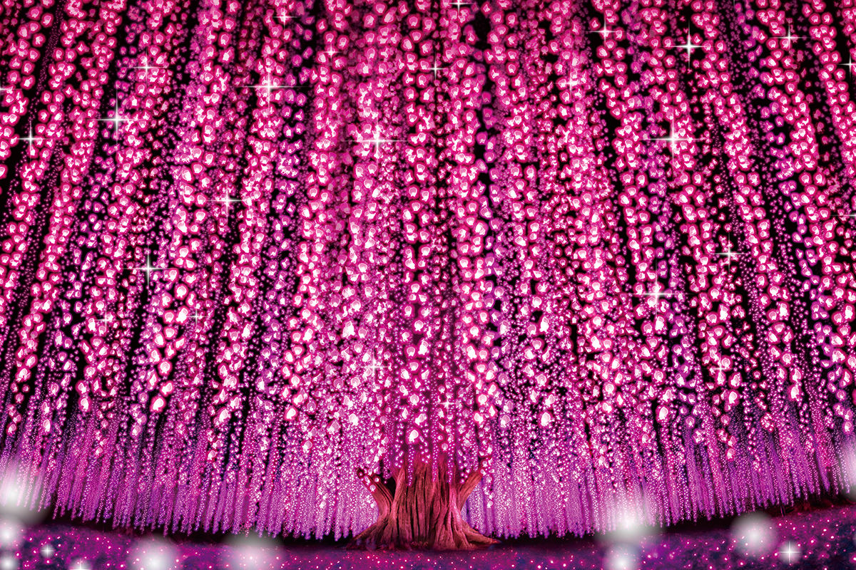 あしかがフラワーパーク「光の花の庭」