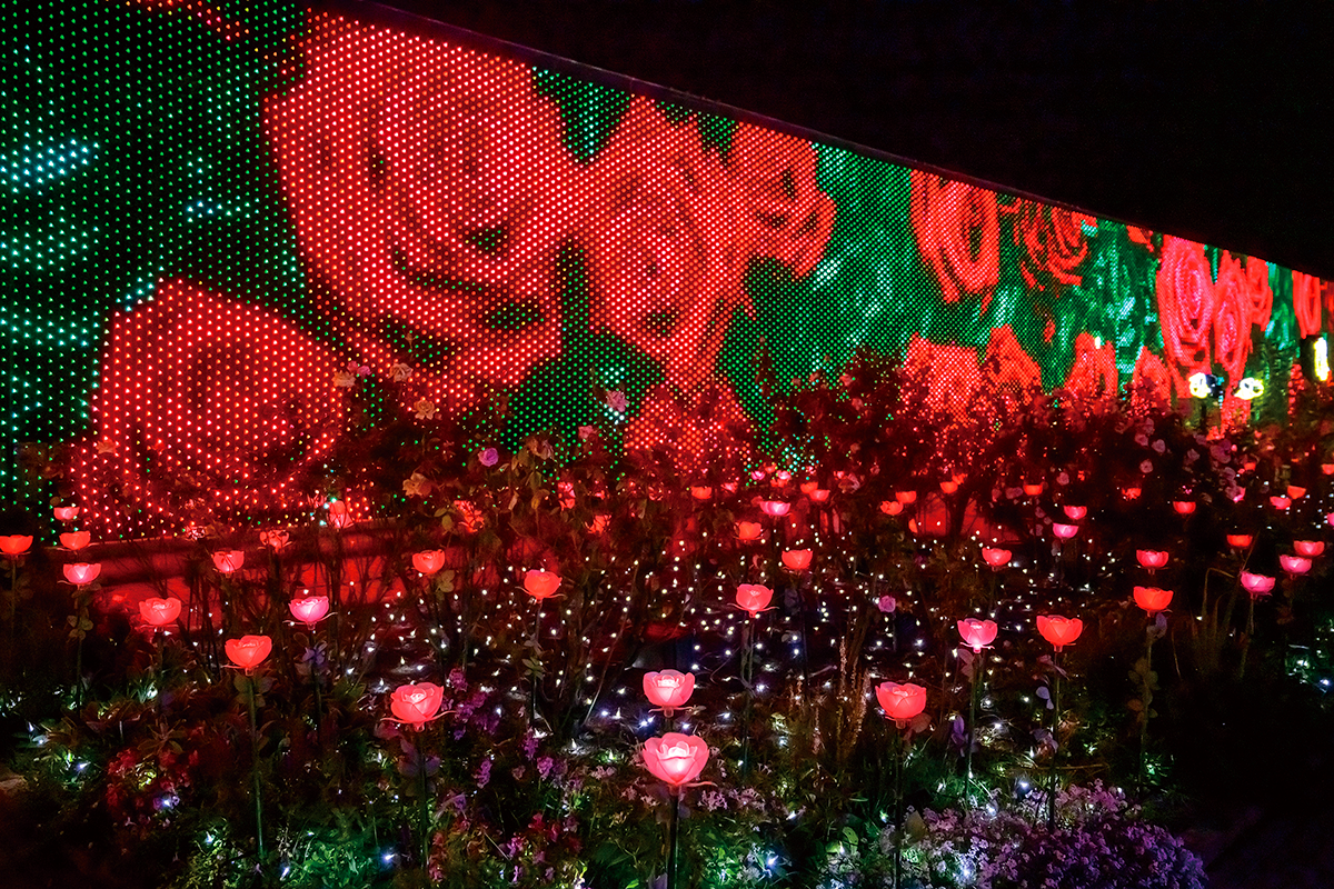 あしかがフラワーパーク「光の花の庭」