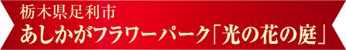 あしかがフラワーパーク「光の花の庭」