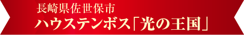 ハウステンボス「光の王国」